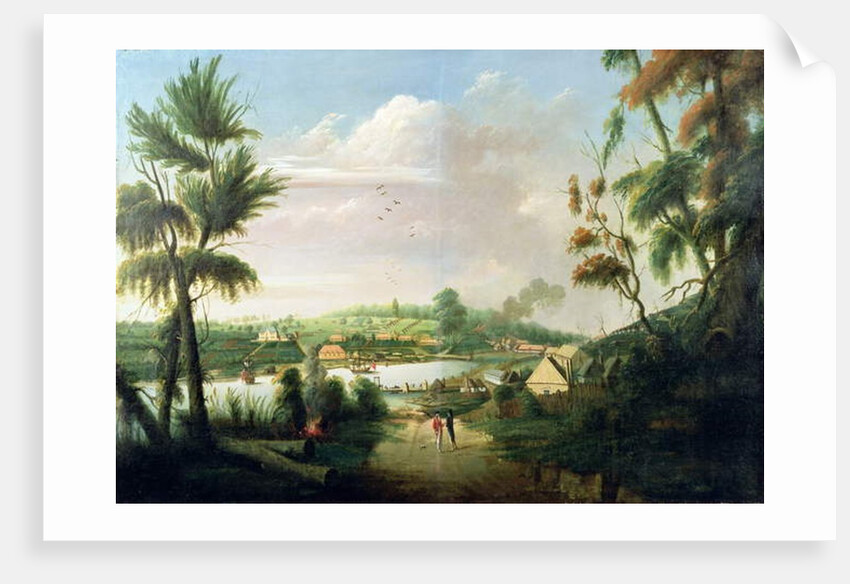 A direct north general view of Sydney Cove, 1794 by Thomas Watling