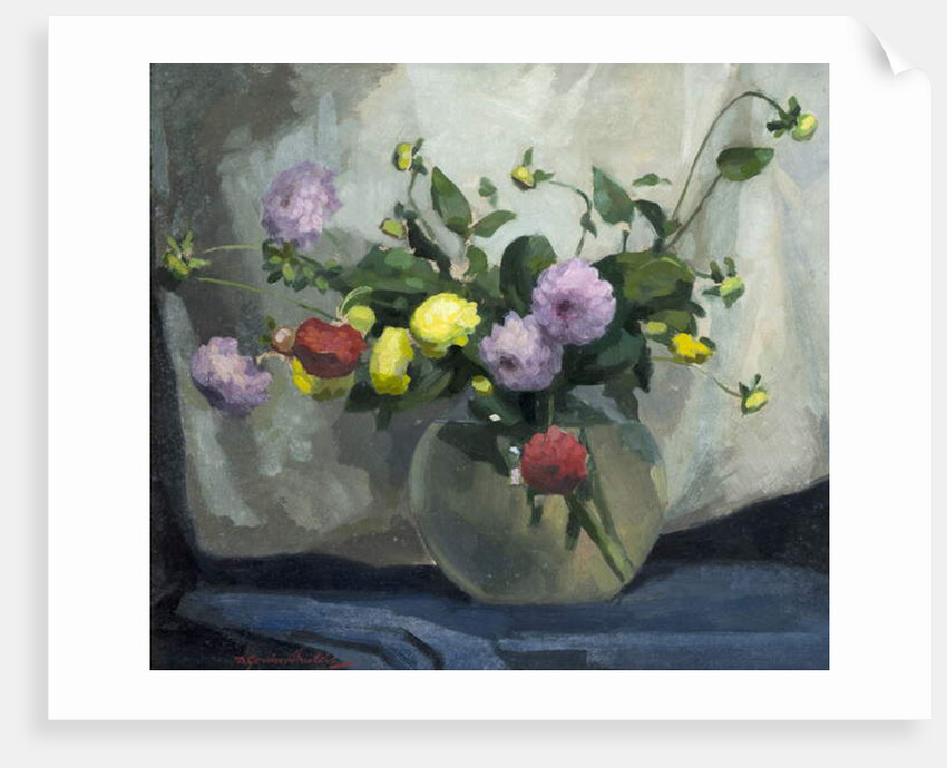 Still Life, Pompom Dahlias by Harry Gordon Shields