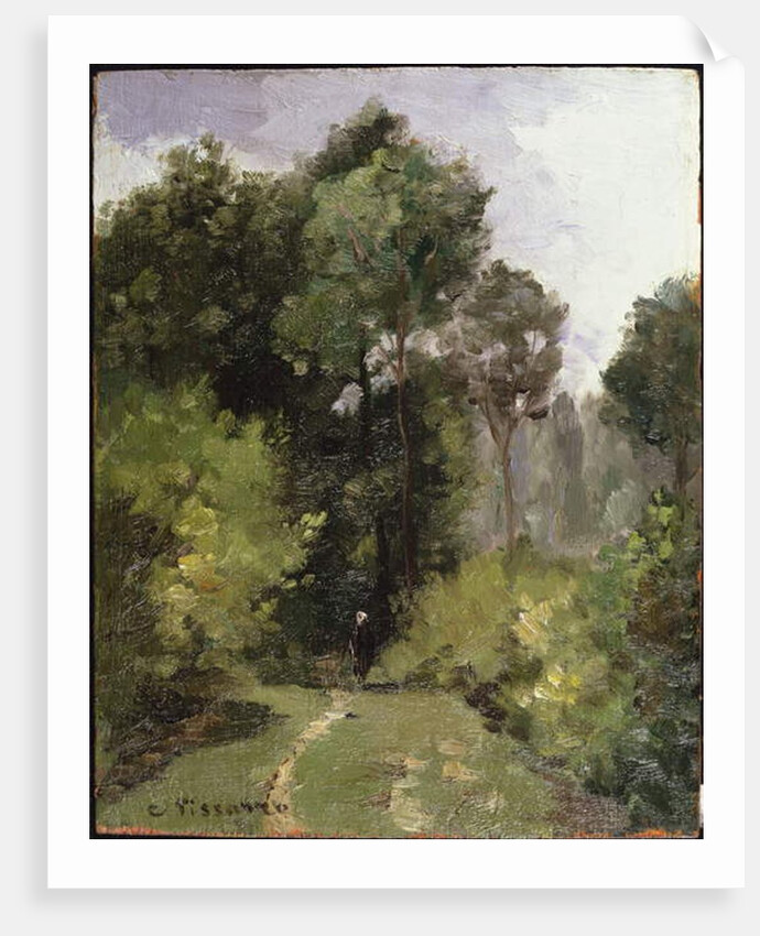 Under the Trees, 1864 by Camille Pissarro