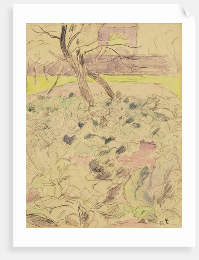 The Cabbage Field, c.1880 by Camille Pissarro