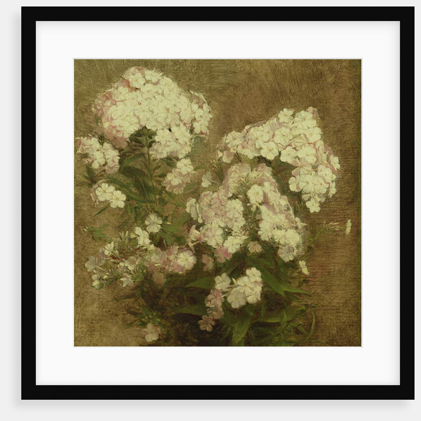 Phlox, 1870 by Ignace Henri Jean Fantin-Latour