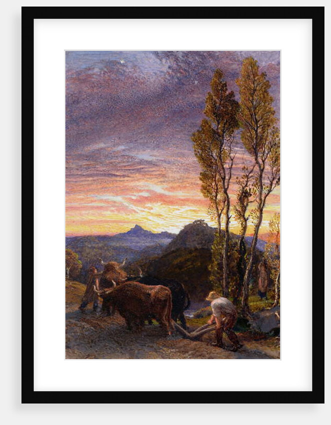 Oxen Ploughing at Sunset by Samuel Palmer