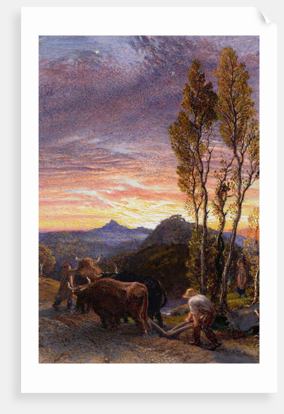 Oxen Ploughing at Sunset by Samuel Palmer