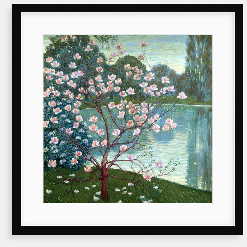 Magnolia by Wilhelm List