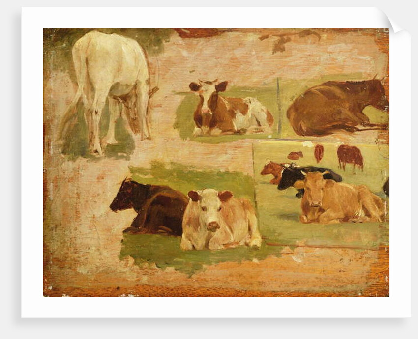 Study of Cows, c.1860 by Eugene Louis Boudin