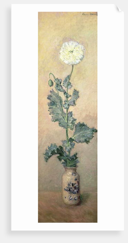 White Poppy, 1883 by Claude Monet