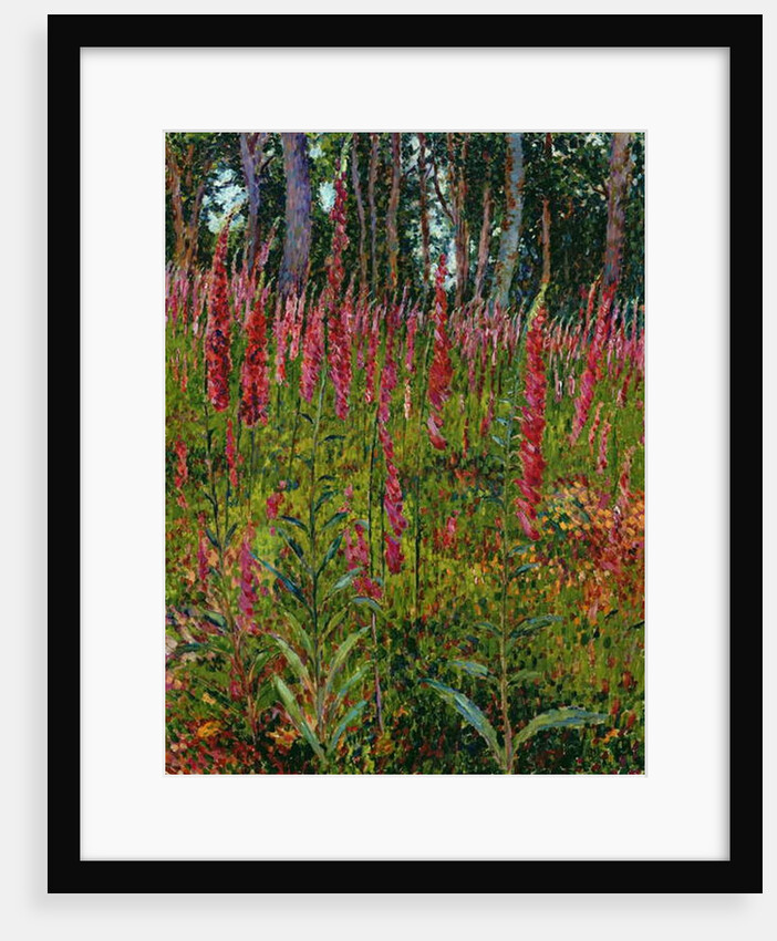 Foxgloves, c.1916 by Georges Lacombe