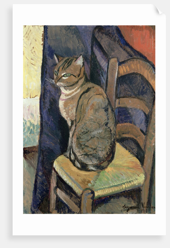 Study of a Cat, 1918 by Marie Clementine (1865-1938) Valadon