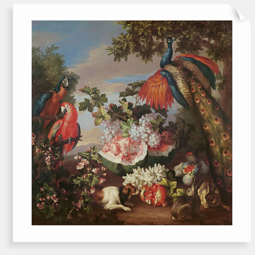 Fruit and Exotic Birds in a Landscape by Jean-Baptiste Monnoyer
