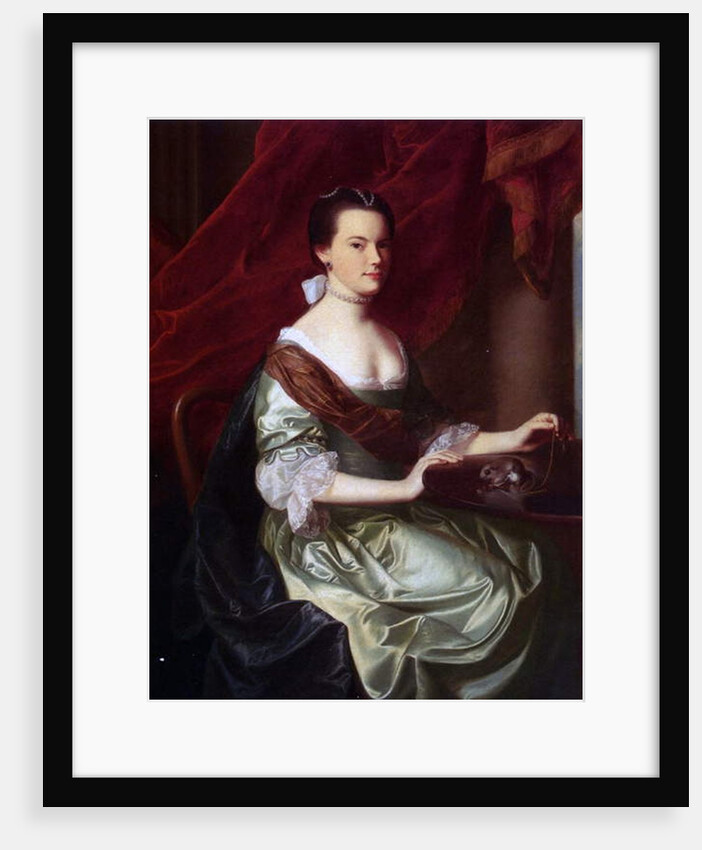 Mrs Theodore Atkinson Jr., 1765 by John Singleton Copley