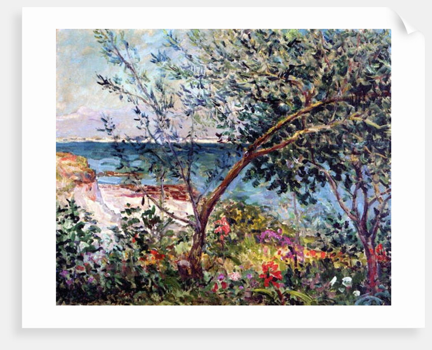 The artist's garden in Brittany, 1905 by Maxime Emile Louis Maufra