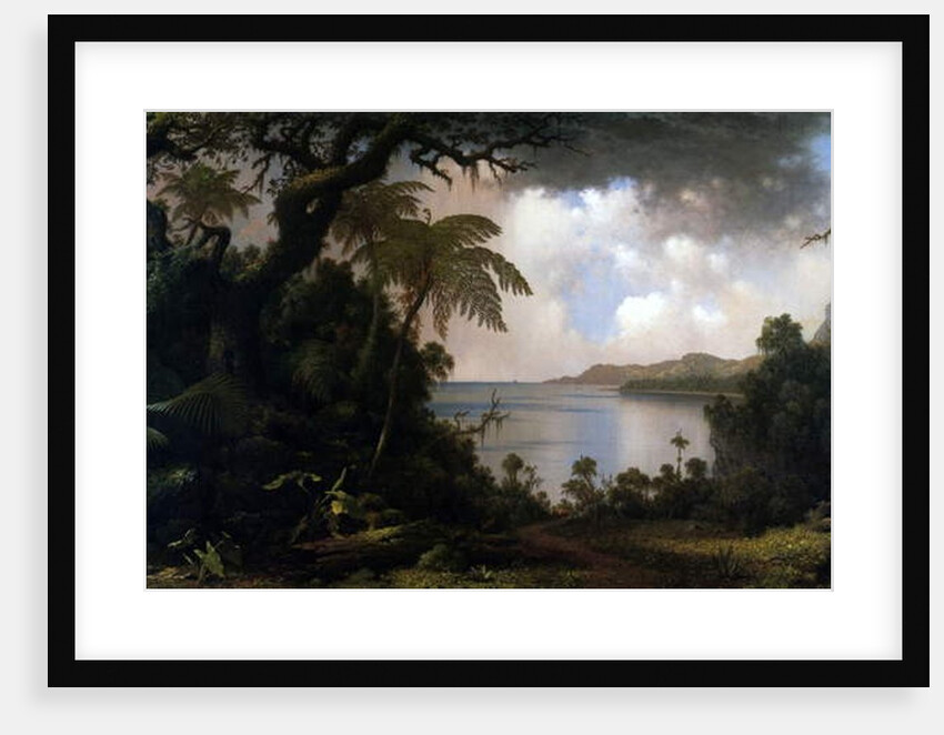 Jamaica, View from Fern-Tree Walk, 1887 by Martin Johnson Heade