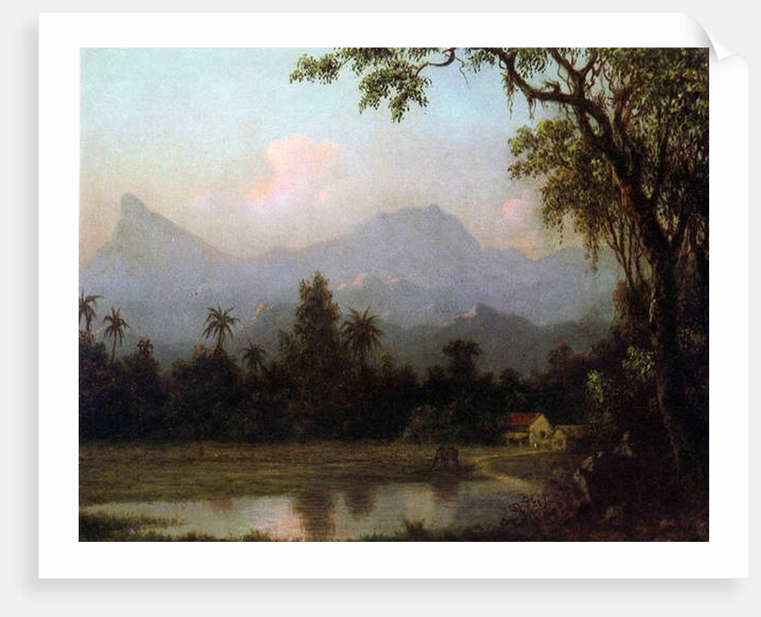 Rio de Janeiro, Brazil, c.1865 by Martin Johnson Heade