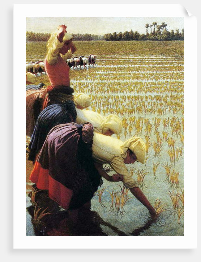 An Italian Rice Field, 1901 by Angelo Morbelli