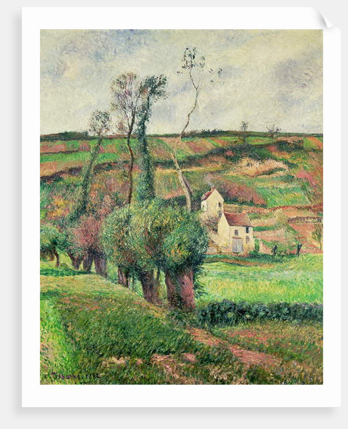 The Cabbage Slopes, Pontoise, 1882 by Camille Pissarro