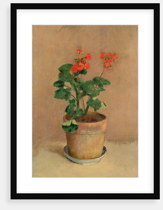 Geraniums in a Pot, c.1905 by Odilon Redon
