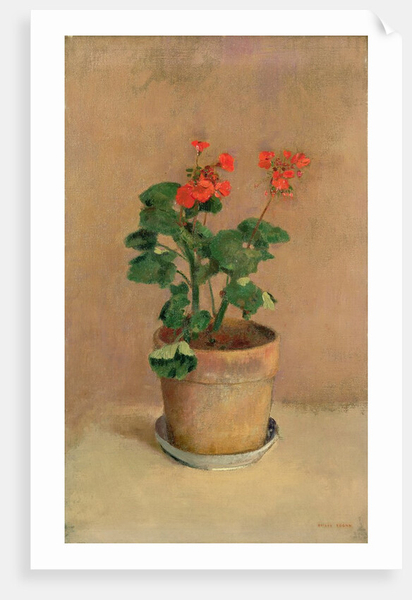 Geraniums in a Pot, c.1905 by Odilon Redon