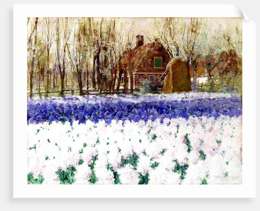 A Cottage and a Field of Hyacinths by George Hitchcock