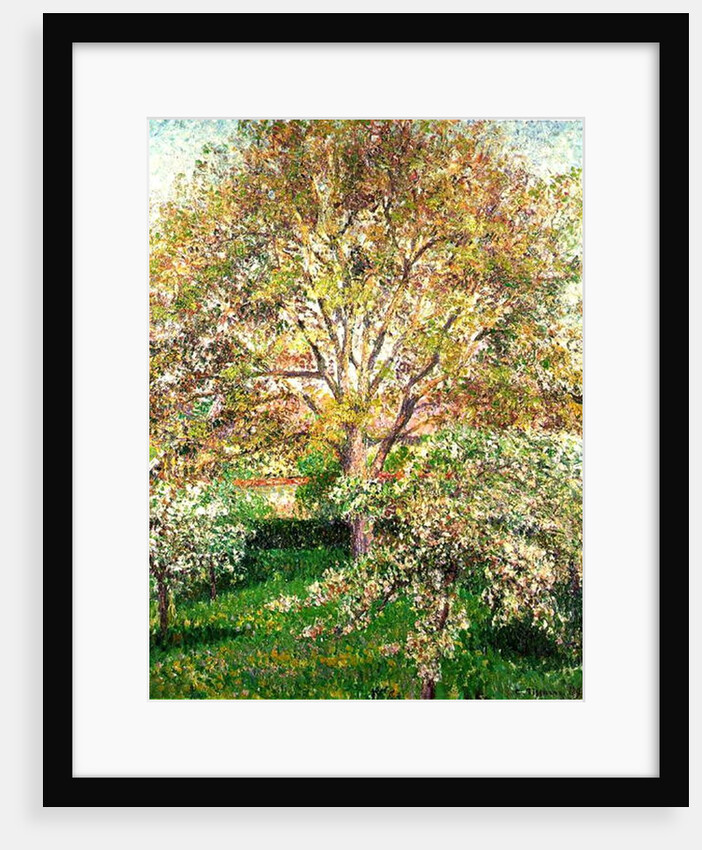 Trees in Bloom at Eragny, 1895 by Camille Pissarro