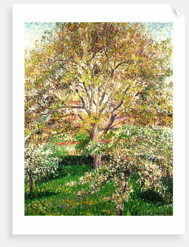 Trees in Bloom at Eragny, 1895 by Camille Pissarro