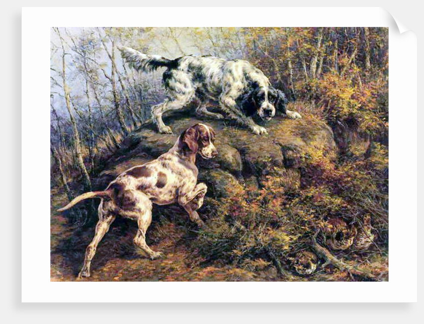 Pointer, Setter and Grouse by Edmund Henry Osthaus