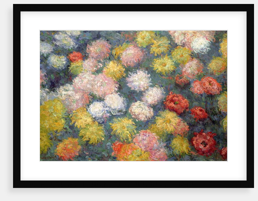 Chrysanthemums, 1897 by Claude Monet