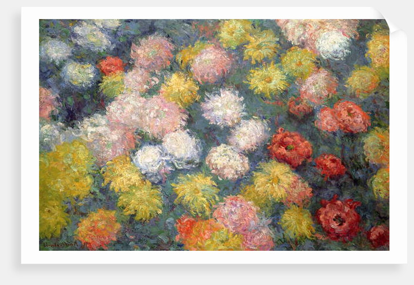 Chrysanthemums, 1897 by Claude Monet