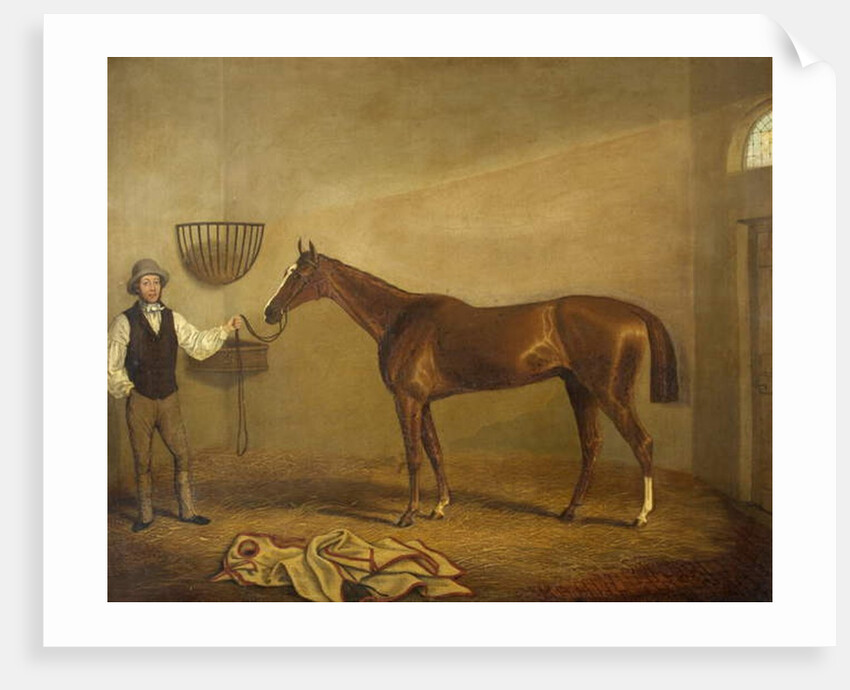 Bravissimo, Winner of the Monmouthshire Hunt Cup at Abergavenny by James Flewitt Mullock