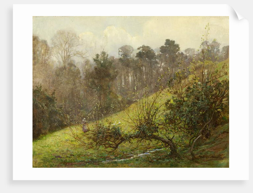 Geese and Goslings by Benjamin Haughton