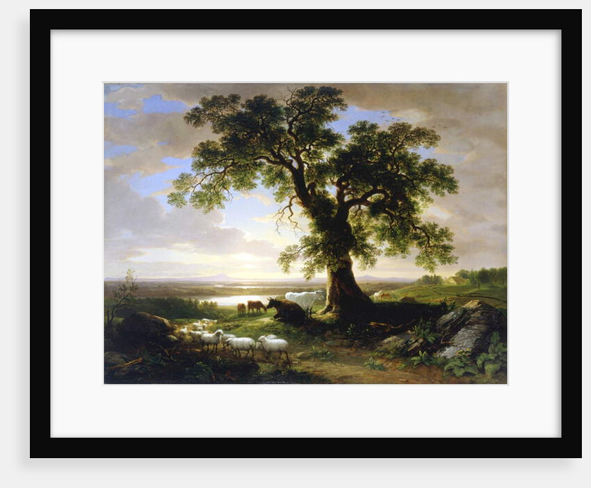 The Solitary Oak / The Old Oak, 1844 by Asher Brown Durand