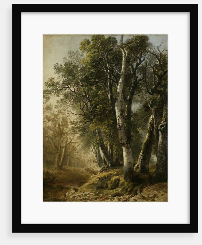 Trees by the Brookside, Kingston, N.Y., 1846 by Asher Brown Durand