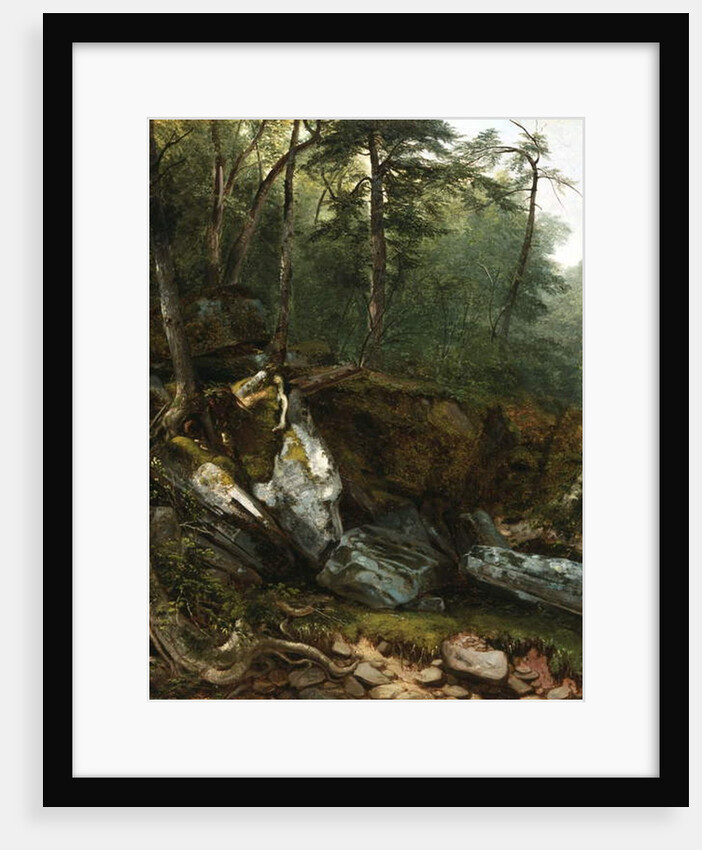 Study from Nature: Rocks and Trees in the Catskills, N.Y., 1856 by Asher Brown Durand