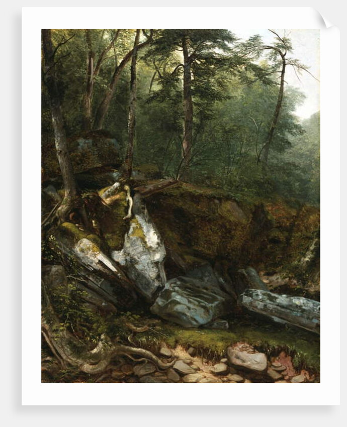 Study from Nature: Rocks and Trees in the Catskills, N.Y., 1856 by Asher Brown Durand