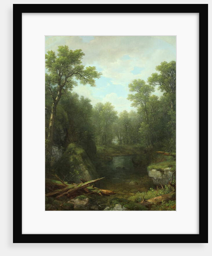 Chapel Pond Brook, Keene Flats, Adirondack Mountains, New York, 1871 by Asher Brown Durand