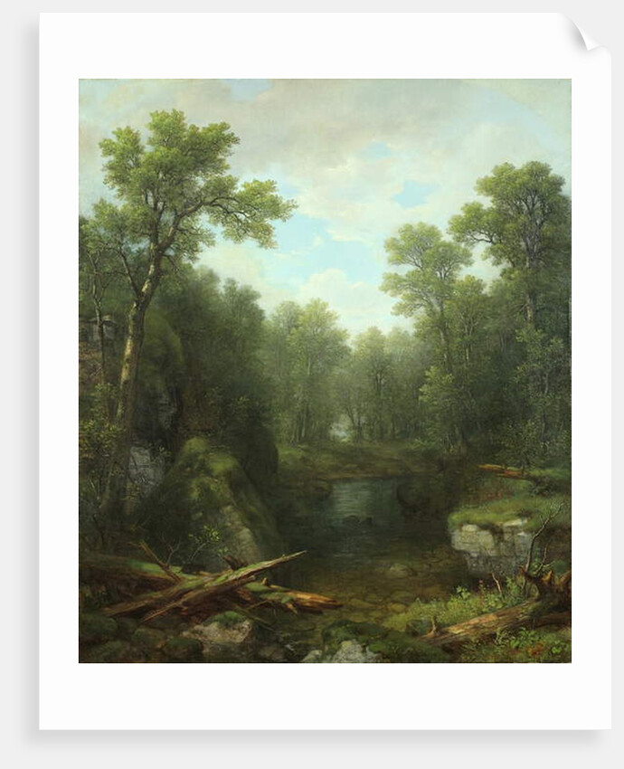 Chapel Pond Brook, Keene Flats, Adirondack Mountains, New York, 1871 by Asher Brown Durand
