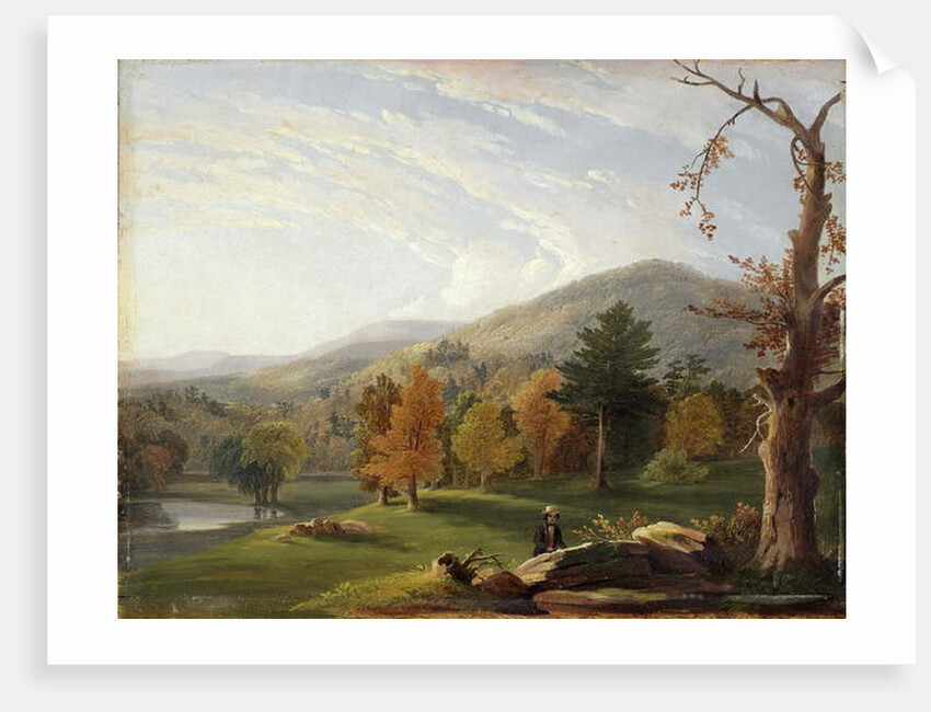View Among the Helderbergs, Catskills in the Distance, 1850 by James McDougal Hart
