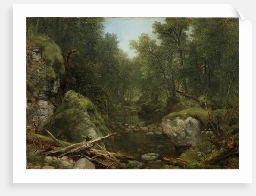 Chapel Pond Brook, Keene Flats, Adirondack Mountains, N.Y., 1870 by Asher Brown Durand