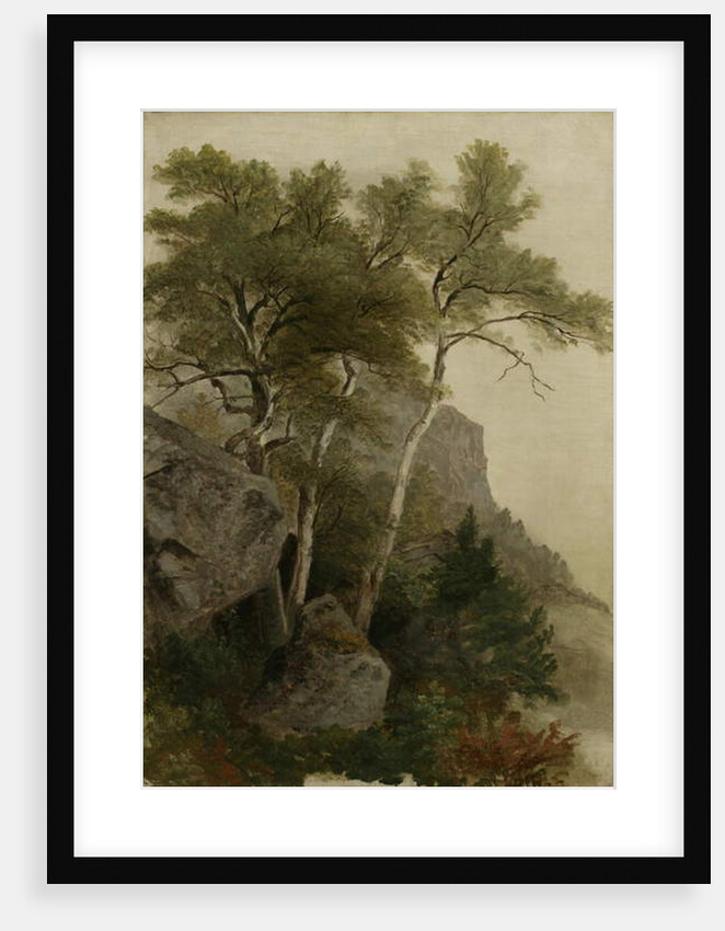 Landscape, 1855 by Asher Brown Durand