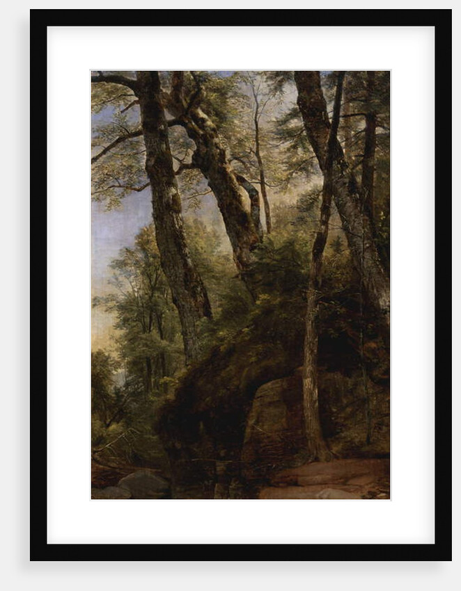 Black Birches, Catskill Mountains, 1860 by Asher Brown Durand