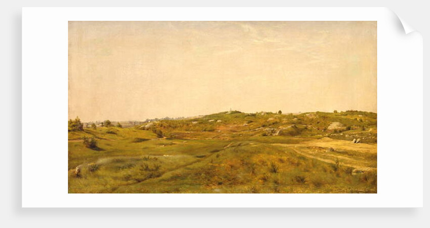 View in Central Park, N.Y.C., 1858 by Jervis McEntee