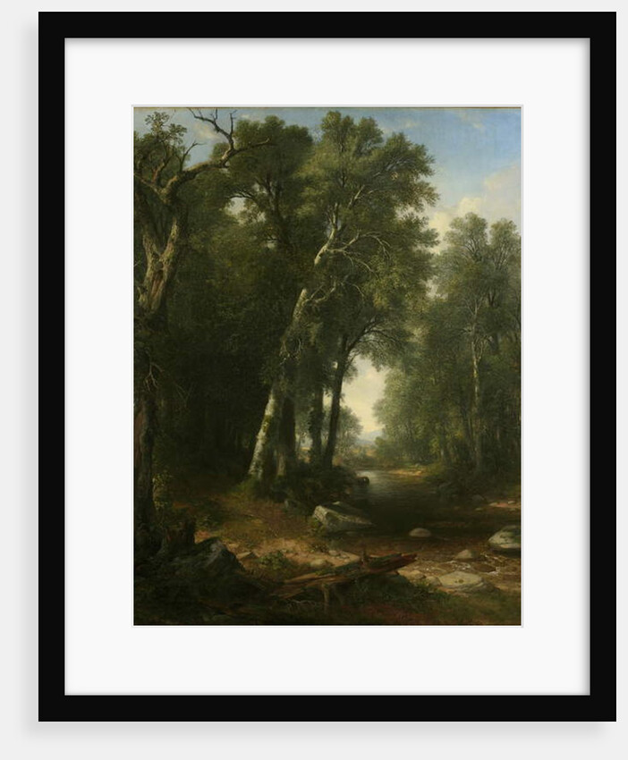 Woodland Brook, 1859 by Asher Brown Durand