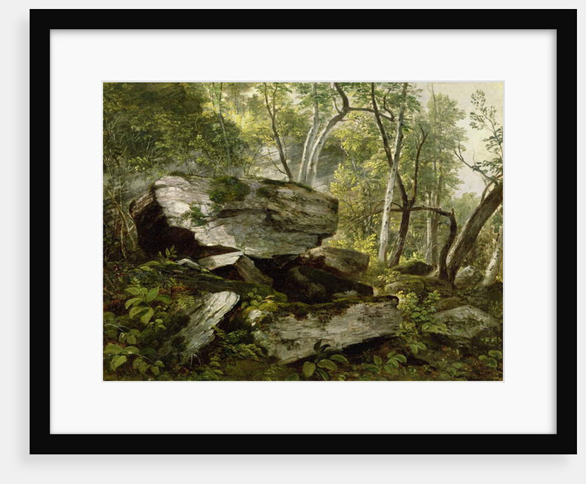 Study from Nature: Rocks and Trees, c.1856 by Asher Brown Durand
