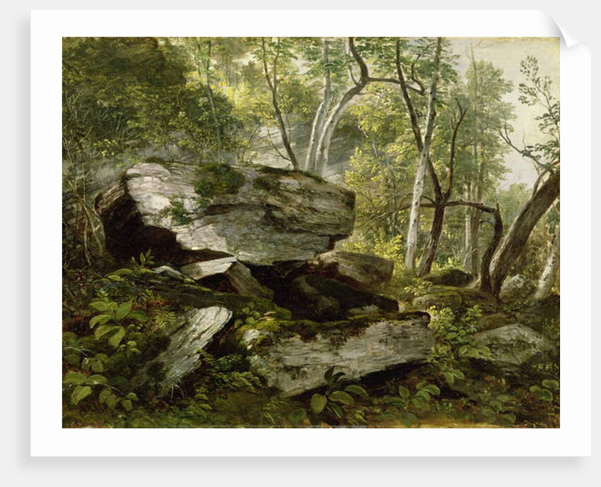 Study from Nature: Rocks and Trees, c.1856 by Asher Brown Durand