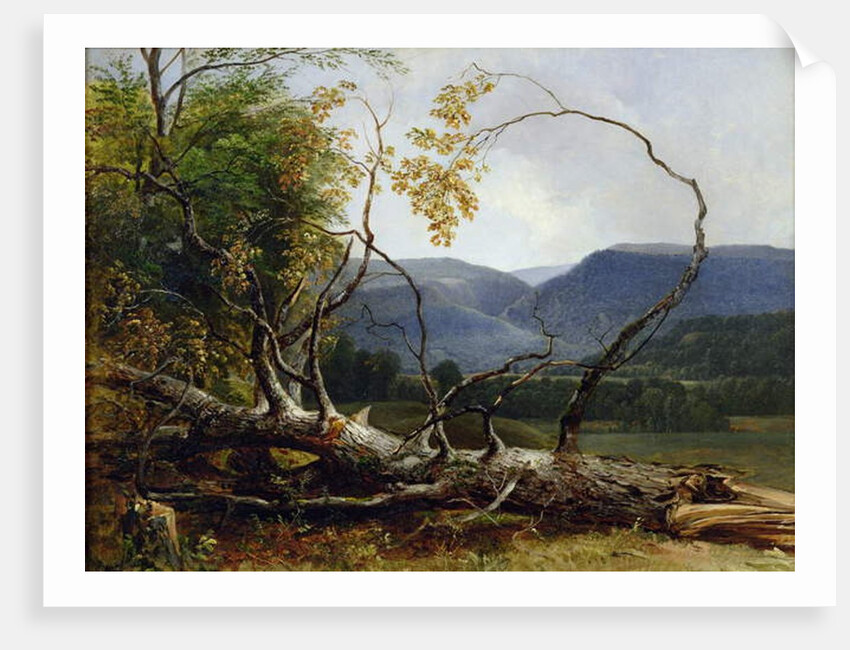 Study from Nature, Stratton Notch, Vermont, 1853 by Asher Brown Durand