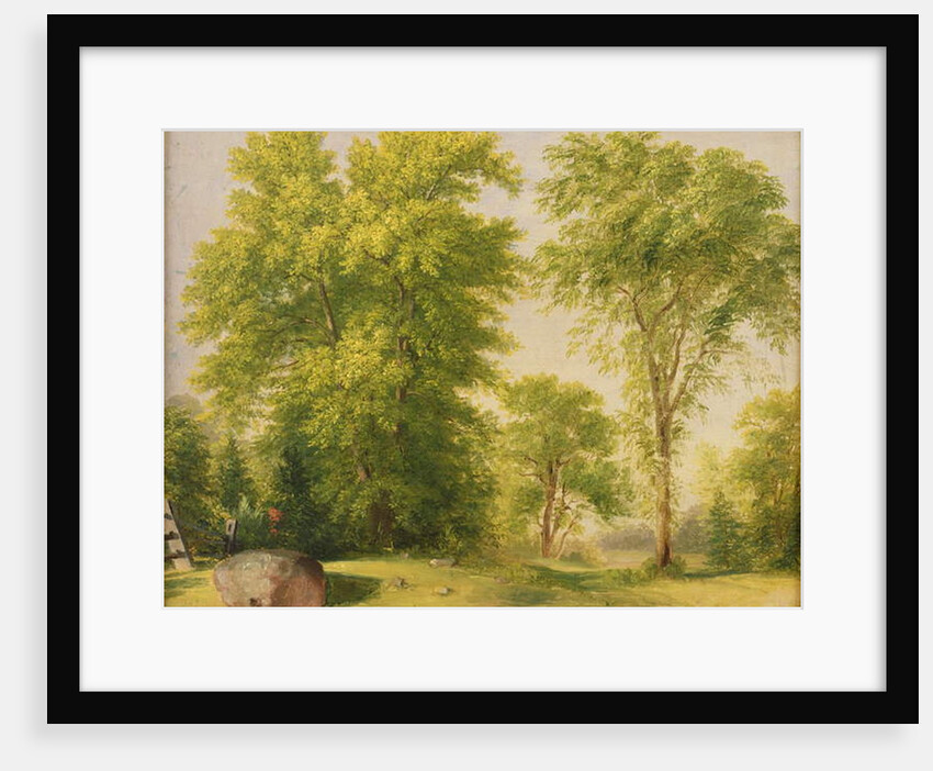 Study from Nature, Hoboken, New Jersey, c.1834 by Asher Brown Durand