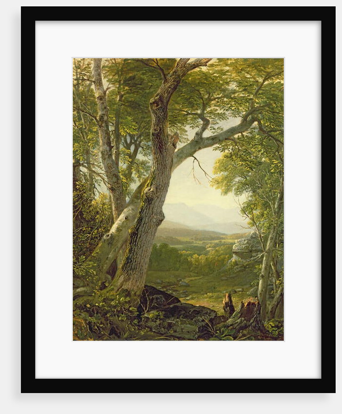 Shandaken Ridge, Kingston, New York, c.1854 by Asher Brown Durand