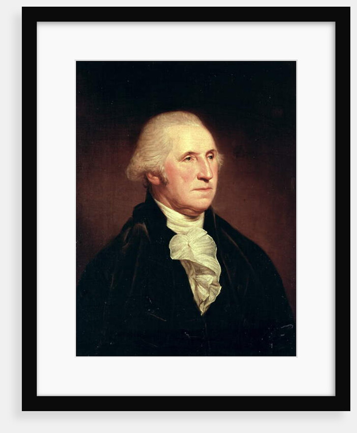 Portrait of George Washington, 1795 by Charles Willson Peale