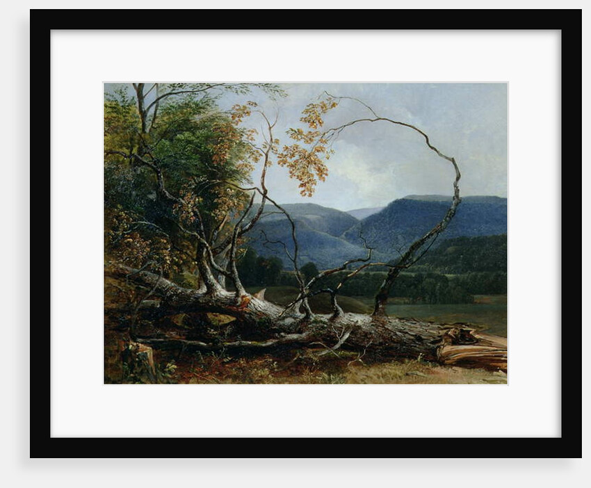 Stratton Notch, Vermont, 1853 by Asher Brown Durand