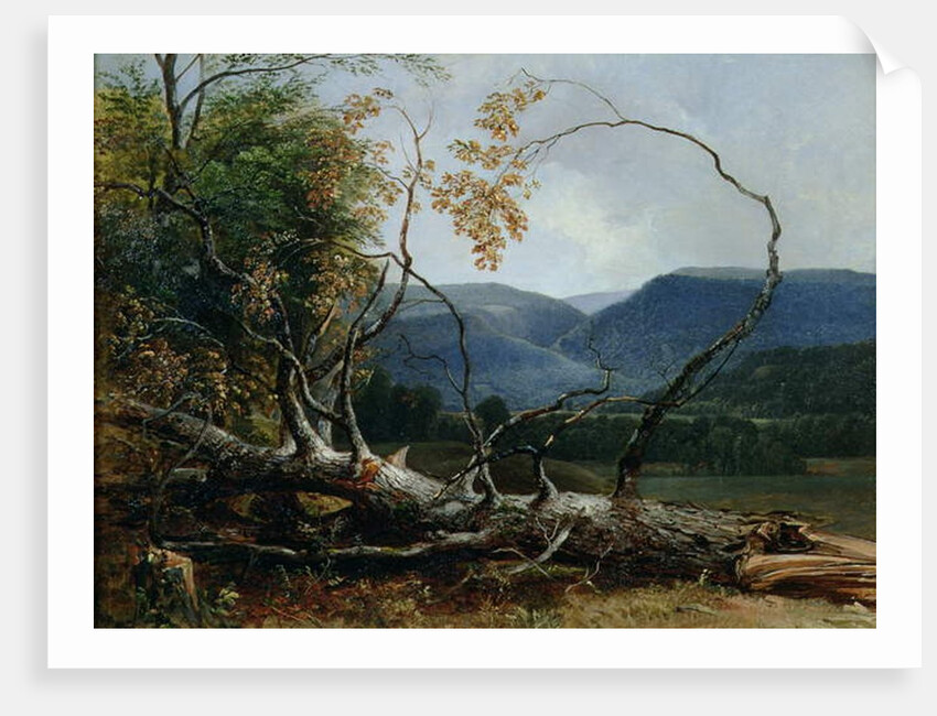 Stratton Notch, Vermont, 1853 by Asher Brown Durand