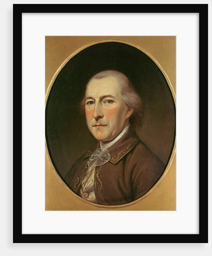 Pieter Johan van Berckel 1783-84 by Charles Willson Peale
